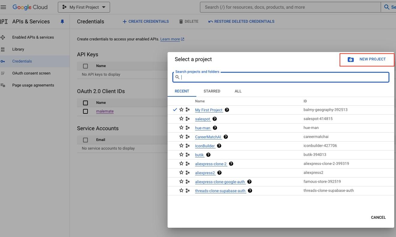 Google provider settings